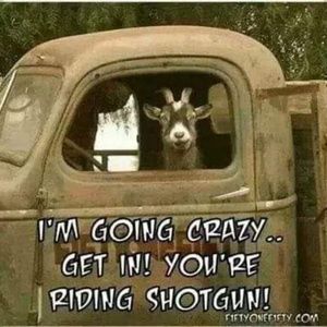 Meet your Posher, Julie